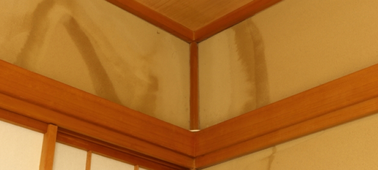 天井・壁にシミが出ている様子