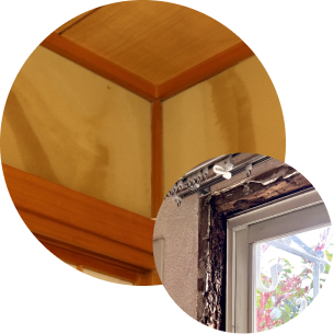 雨漏りしている天井